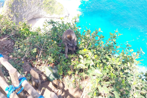 Nusa Penida : Visite guidée d&#039;une journée avec un chauffeur local comme guide