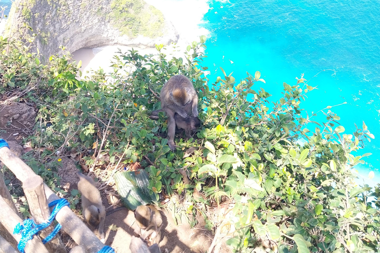 Nusa Penida : Visite guidée d&#039;une journée avec un chauffeur local comme guide