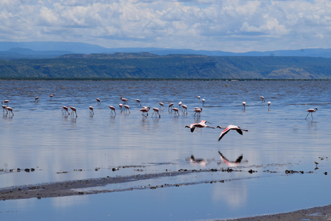Arusha: Lake Natron Day Trip (Lake Walk &amp; Waterfall Hike)