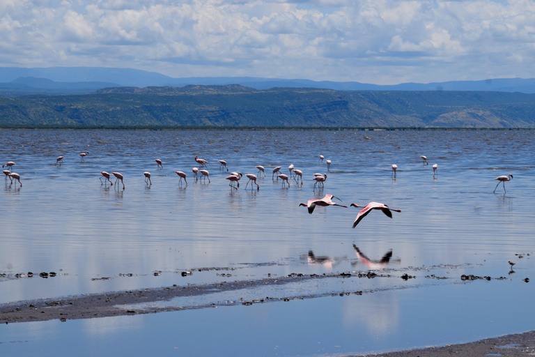 Arusha: Lake Natron Day Trip (Lake Walk &amp; Waterfall Hike)
