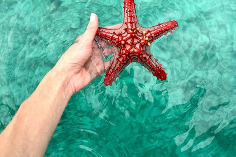 Zanzíbar: Excursión a Mnemba para hacer snorkel y nadar con tortugas