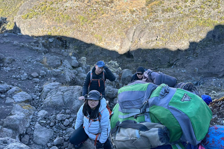 8 Days Kilimanjaro Trekking Adventure, Lemosho Route for all