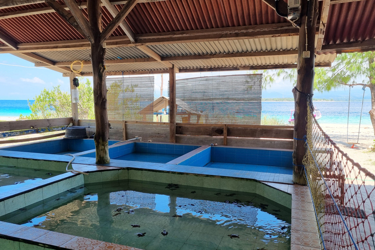 Snorkling på Gili Island: Gili Trawangan, Meno och Air