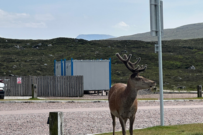 Edinburgh: Glencoe and Highlands Day Tour
