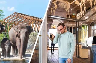 Amsterdam: ARTIS Royal Zoo und ARTIS Groote Museum Ticket