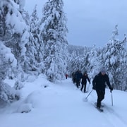 Ruka : randonnée en raquettes à Pyhävaara