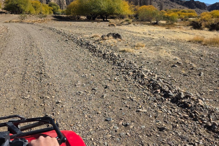 Bariloche: Small-Group Patagonian Steppe ATV Adventure