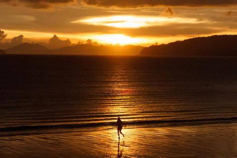 Tour al tramonto di Phi Phi e delle 4 isole + plancton bioluminescenti