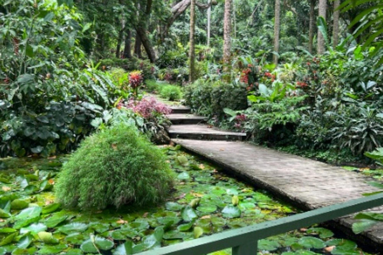 Nadi: Culture, Temples, Markets & Garden Adventure Option - Pick up Double Tree Resort