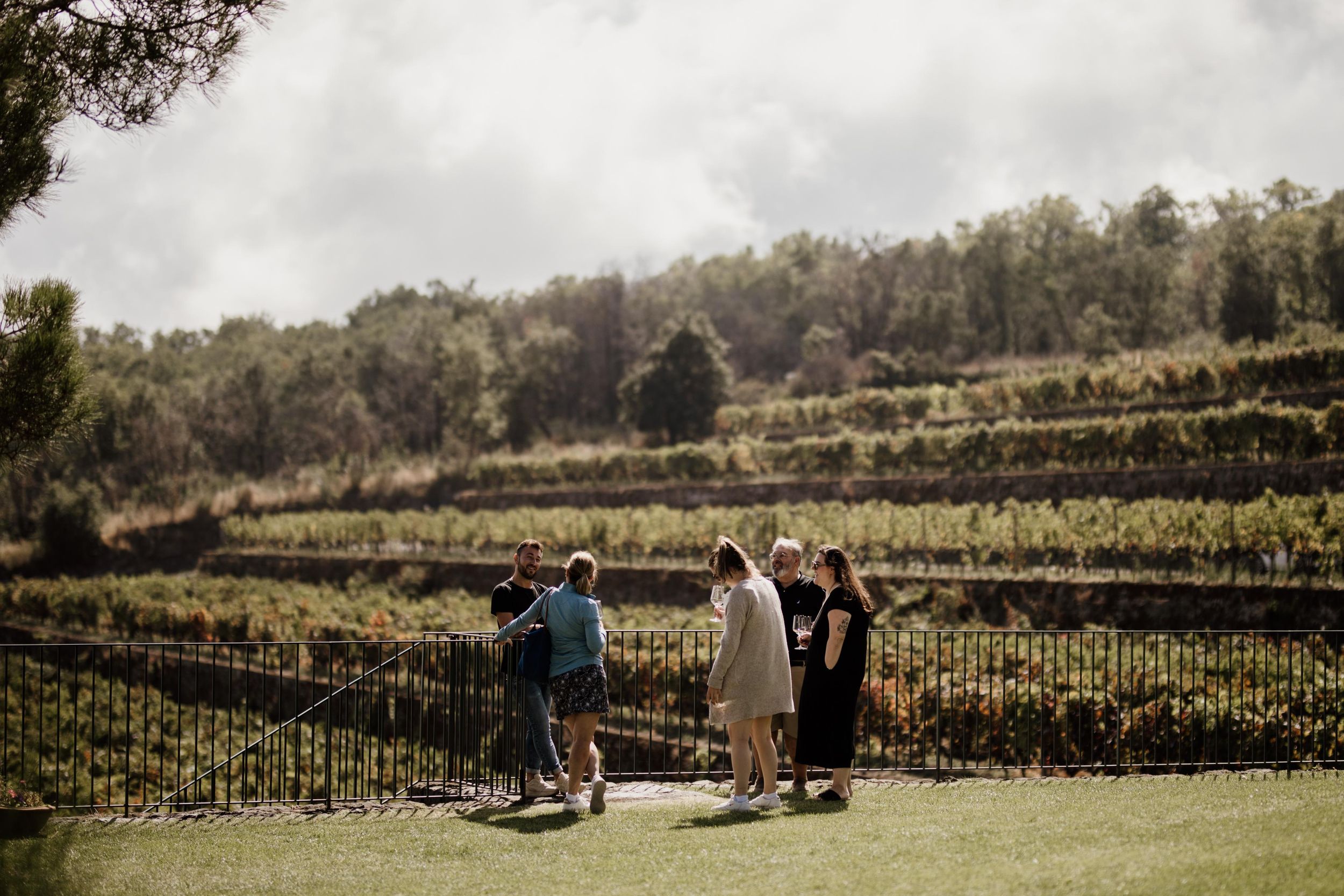 Linguaglossa: Weinprobe am Ätna Nord