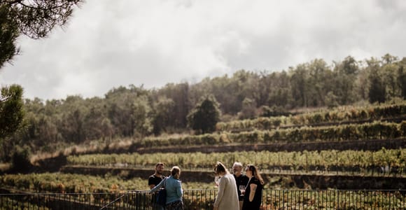 Linguaglossa: Wine Tasting Experience at Etna Nord