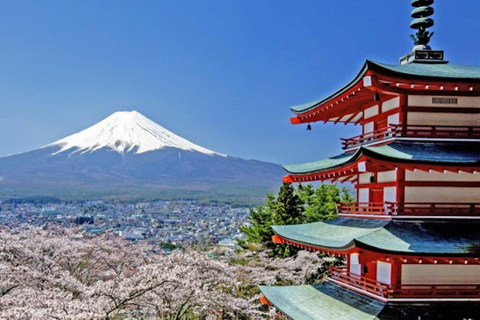 Fuji Speedway Self Drive &amp; Mt. Fuji Tour z odbiorem na LEXUSIE