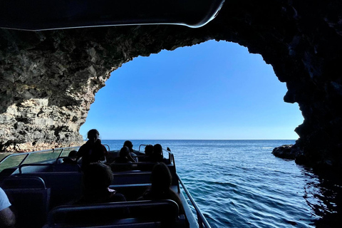 Isla de Faial: Tour en barco único al volcán Capelinhos