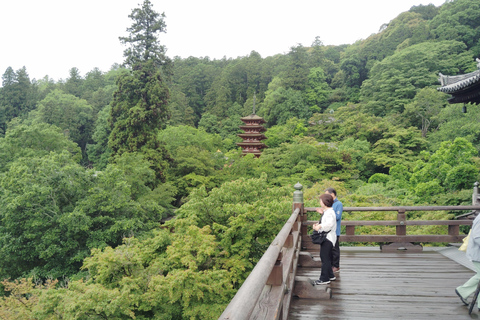 Nara: Entdecke die riesige Kannon-Statue und den Tempel am Steilhang von HasederaNara: Entdecke die riesige Kannon-Statue und den Tempel am Steilhang in Hasedera