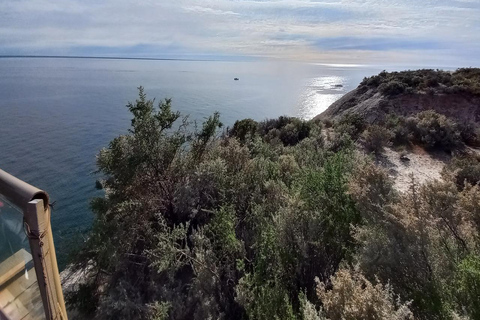 Puerto Madryn: Punta Loma Sea Lion Reserve Tour with Pickup