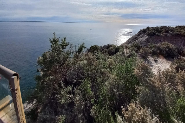 Puerto Madryn: Punta Loma Sea Lion Reserve Tour with Pickup
