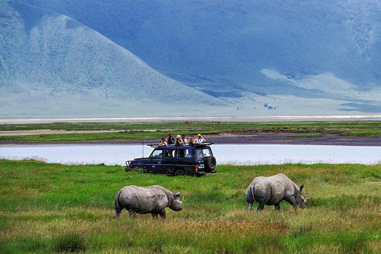 Safari en groupe de 4 jours dans le Tarangire, le Ngorongoro et le Serengeti