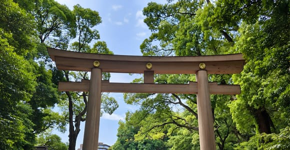 Tokyo : le Meiji Jingu et la culture shinto à pied