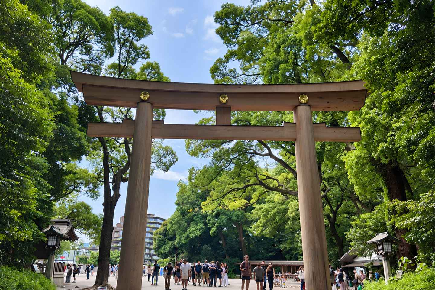 Tokyo: Meiji Jingu Shrine and Shinto Culture Walking Tour - Meiji Shrine Walking Tour