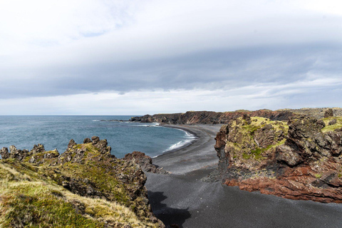 Self-Drive: West and South Iceland (7 days)Dacia Duster - Comfort Accommodation