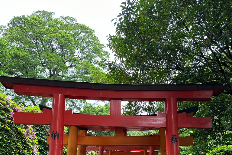 Tradycyjne stare miasto w Tokio - Yanaka, Nezu i Ueno SakuragiTokio : Stare tradycyjne miasto~Yanaka,Nezu&amp;Ueno Sakuragi