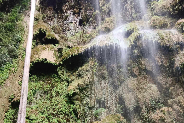 Excursión al Tiburón Ballena de Oslob, las cataratas de Tumalog y el banco de arena de Sumilon