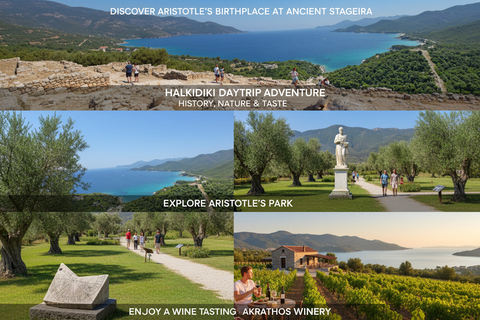 Thessaloniki: Halkidiki Wine Tour with Aristotle's Park