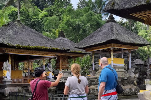 乌布猴林、梯田、秋千、寺庙和瀑布乌布猴林、水稻梯田、秋千、寺庙和瀑布