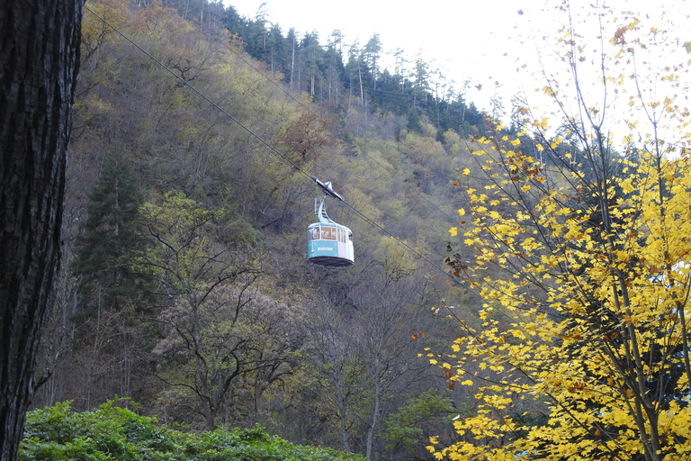 Kutaisi: Bakuriani Ski Resort & Borjomi Park Day Trip