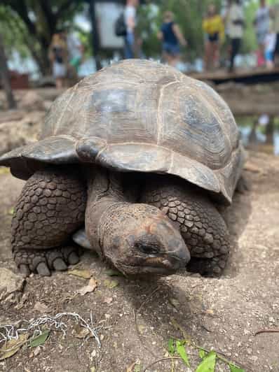 Galería de fotos para redes