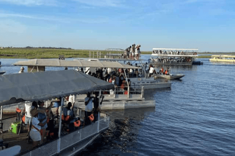 Chobe : Sunset Cruise