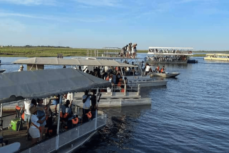 Chobe : Sunset Cruise