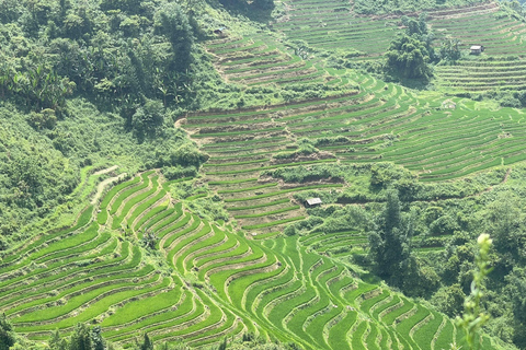 Red Dao Village Trek and Herbal Bath