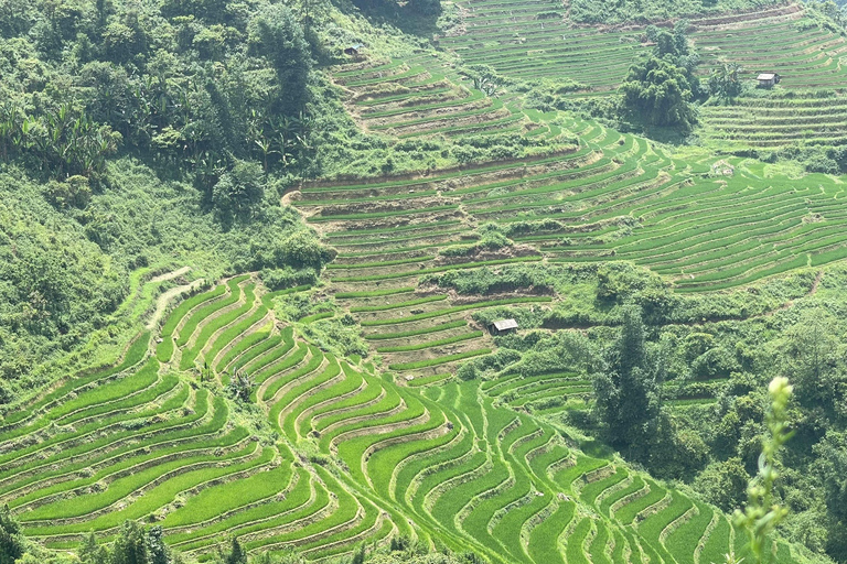 Red Dao Village Trek and Herbal Bath