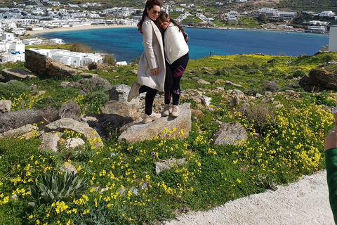 Panoramische rondleiding op MykonosPanoramische eilandtour