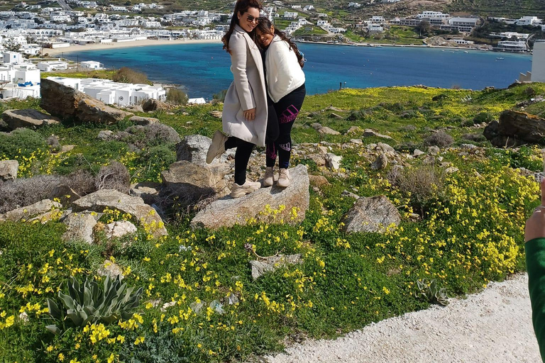 Panoramische rondleiding op MykonosPanoramische eilandtour