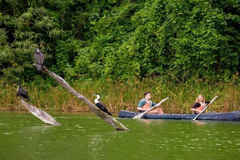 Från Arusha:Dagstur till sjön Duluti - kanotpaddling och vandring