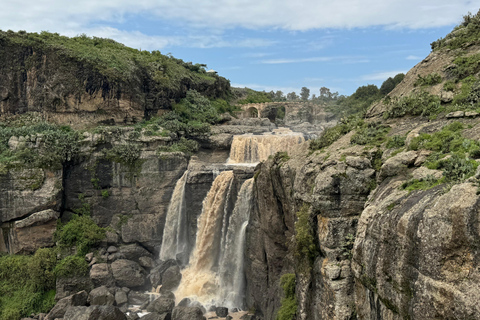 From Addis: Blue Nile Gorge, Baboons & Waterfalls