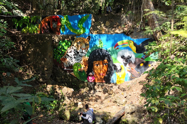 Monkey’s Creek: An Extreme Tropical Forest Hiking Adventure