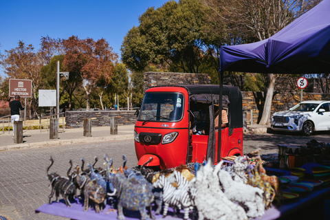 Johannesburg : Soweto en Tuk Tuk