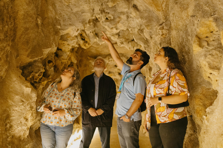 Sintra: Biglietto d'ingresso per Quinta da Regaleira e tour guidatoTour in portoghese