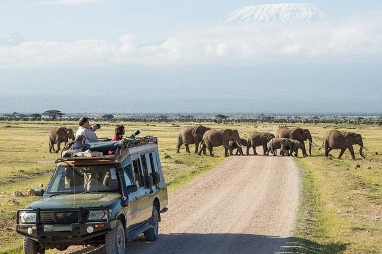 Amboseli-Nationalpark: 3-tägige Safari mit 2 Übernachtungen – Wildtier-Abenteuer