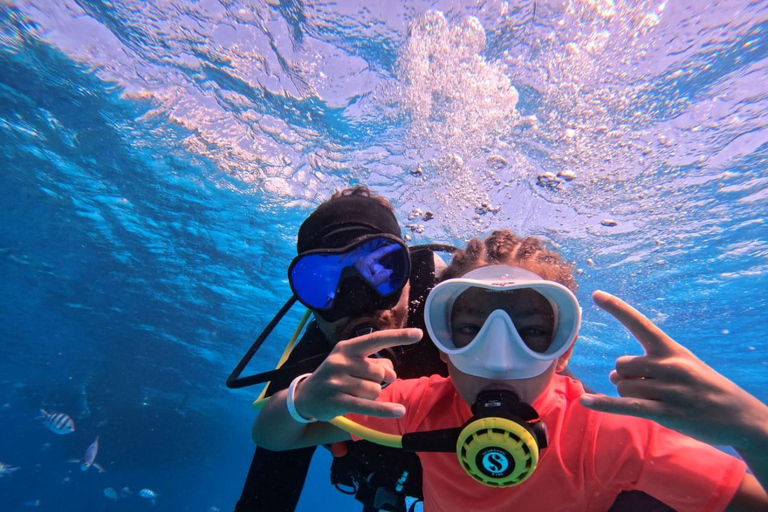 Intro Diving Beginner and Discover Red Sea Underwater