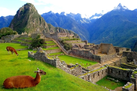 Inca Jungle Trail to Machu Picchu 4 Days