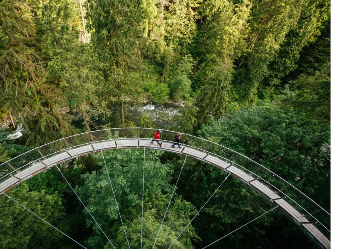 Vancouver: Capilano Suspension Bridge Park billet
