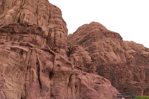 Wadi Rum: Desert Camp Tour With Jeep Safari And Star Gazing: