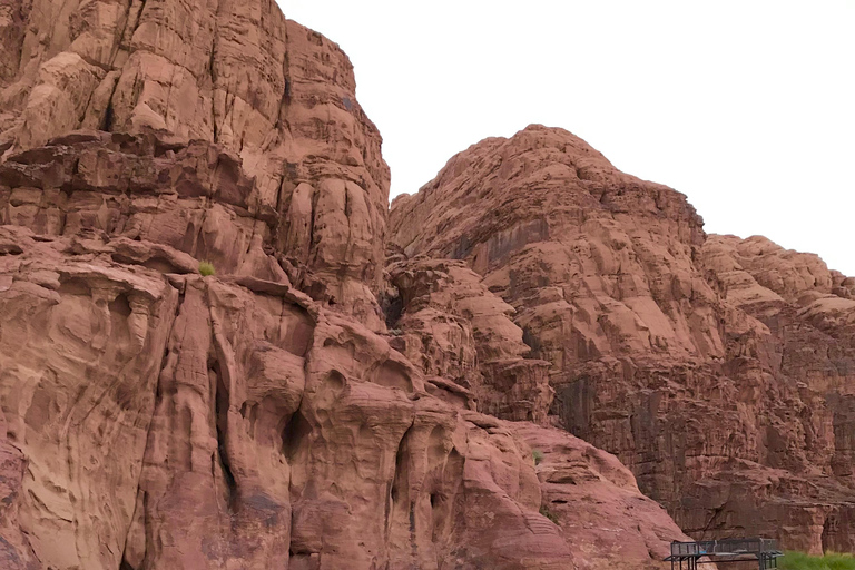 Wadi Rum: Desert Camp Tour With Jeep Safari And Star Gazing: