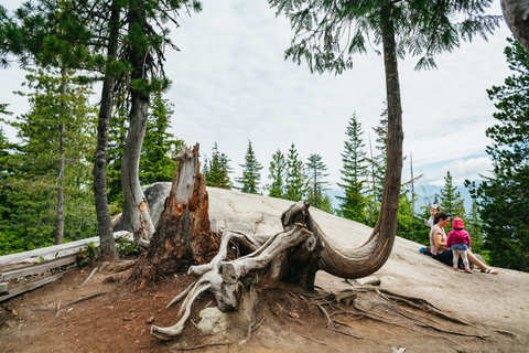 Vancouver: Sea to Sky Gondola and Whistler Day Trip