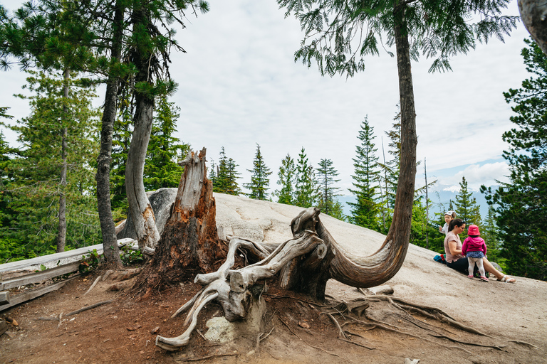 Vancouver: Sea to Sky Gondola och dagsutflykt till Whistler