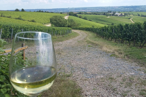 Tour privato della Valle del Reno con crociera sul fiume e degustazione di vini